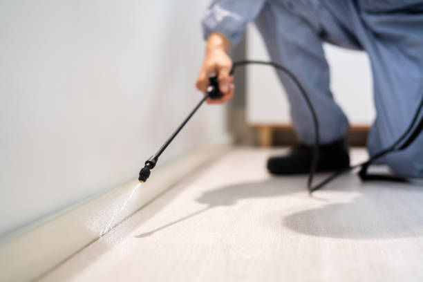 Bed Bug Pre-Treatment Preparation Assessment in Fairview